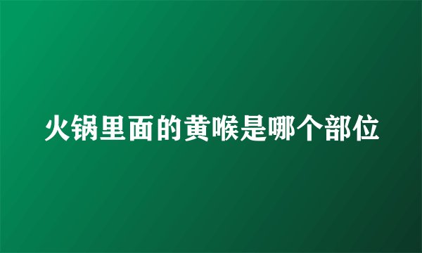 火锅里面的黄喉是哪个部位