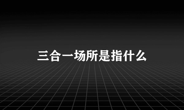 三合一场所是指什么