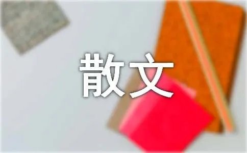 有一座桥散文随笔