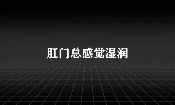 肛门总感觉湿润