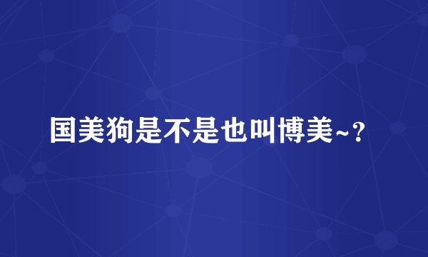 国美狗是不是也叫博美~?