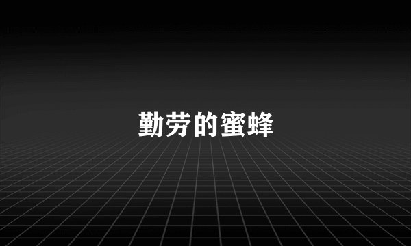 勤劳的蜜蜂