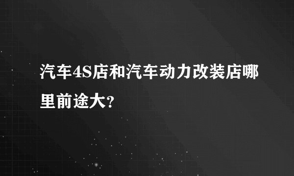 汽车4S店和汽车动力改装店哪里前途大？