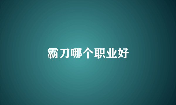 霸刀哪个职业好