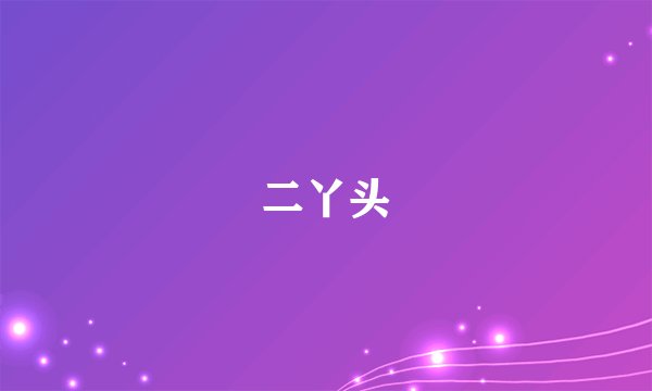二丫头