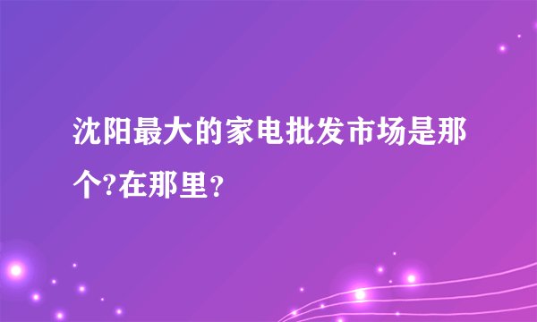 沈阳最大的家电批发市场是那个?在那里？