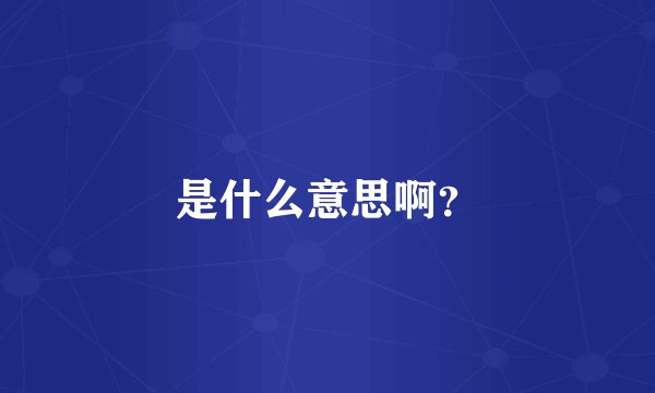 是什么意思啊？