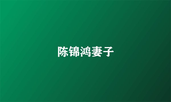 陈锦鸿妻子