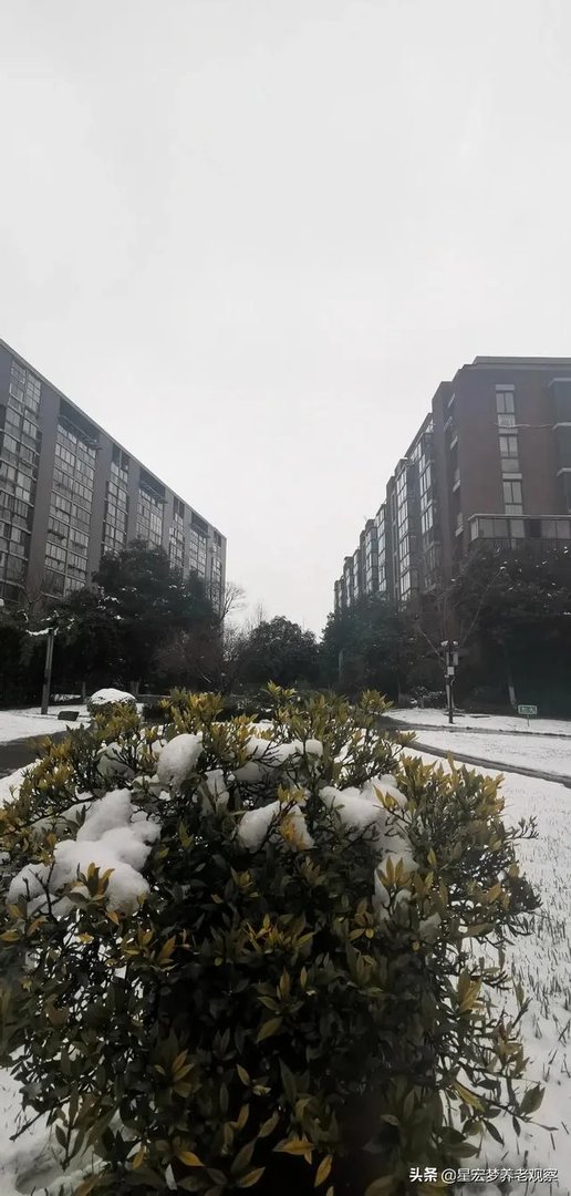 最近想入手美达浅草明苑小区的房子,但是中介推荐了一个边户,美达浅草明苑小区噪音大吗?可以入手吗?
