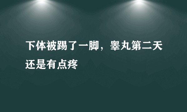 下体被踢了一脚，睾丸第二天还是有点疼