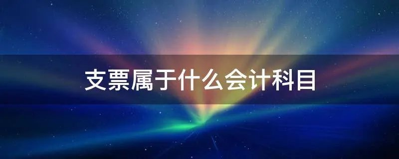 支票属于什么会计科目