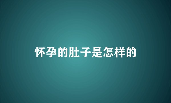怀孕的肚子是怎样的