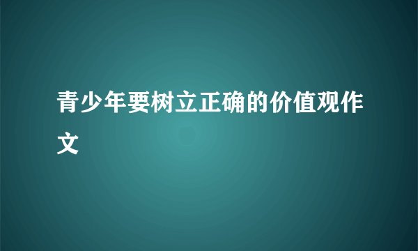 青少年要树立正确的价值观作文
