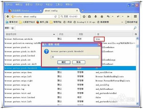 about:config 如何设置
