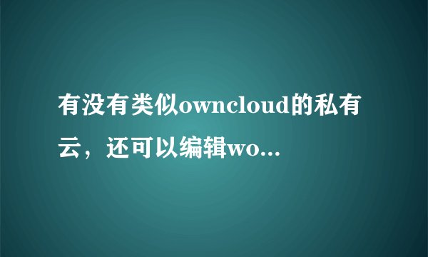 有没有类似owncloud的私有云，还可以编辑word的程序