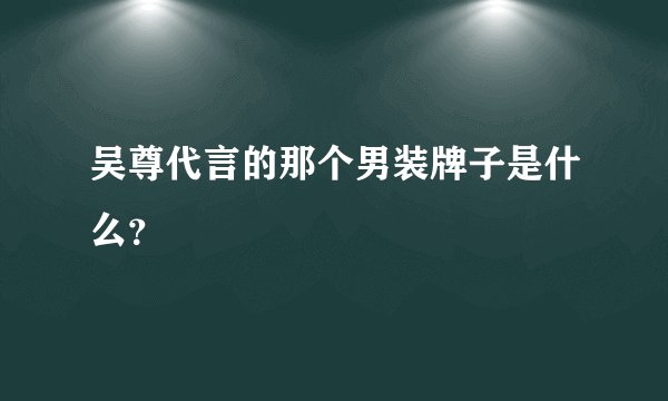 吴尊代言的那个男装牌子是什么？