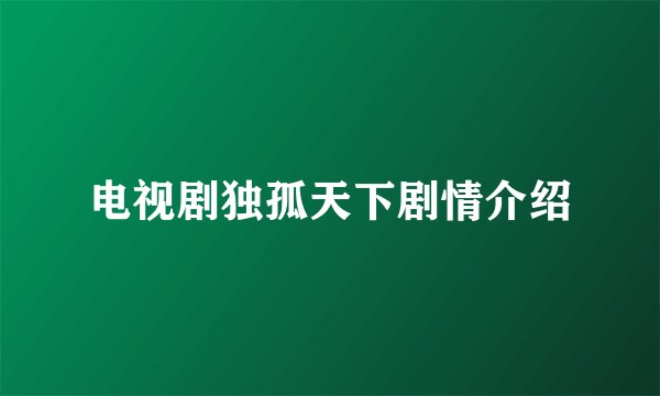电视剧独孤天下剧情介绍