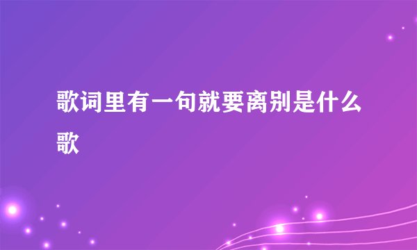 歌词里有一句就要离别是什么歌