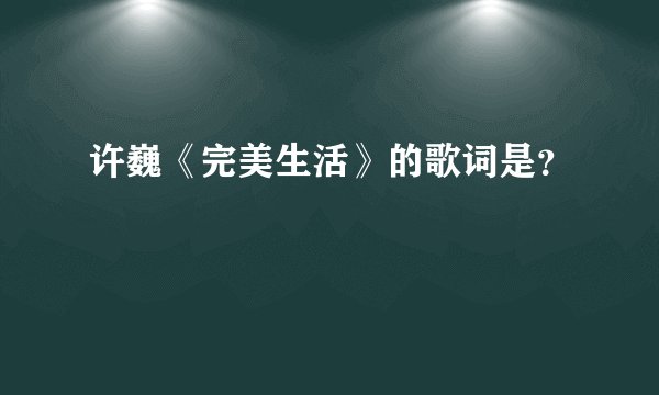许巍《完美生活》的歌词是？