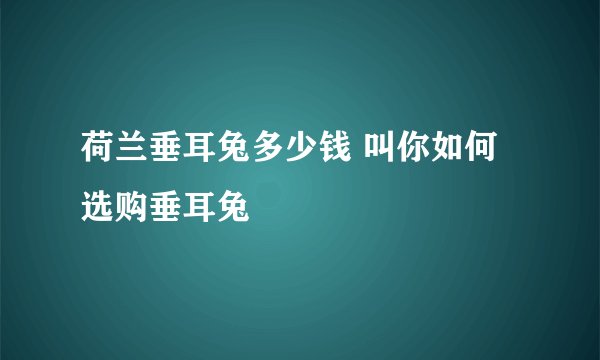 荷兰垂耳兔多少钱 叫你如何选购垂耳兔