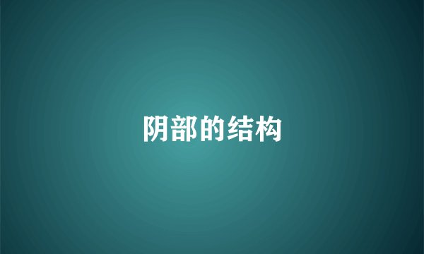阴部的结构