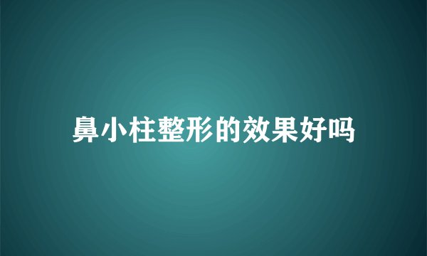 鼻小柱整形的效果好吗