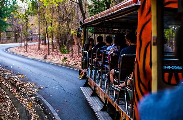 电动观光车可以上道路行驶吗 电动观光车上路需要什么手续
