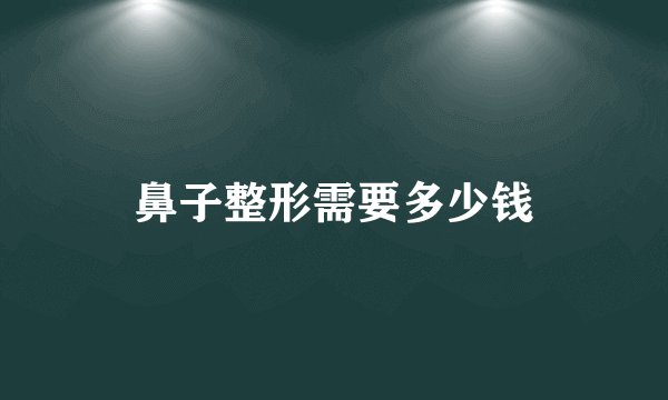 鼻子整形需要多少钱