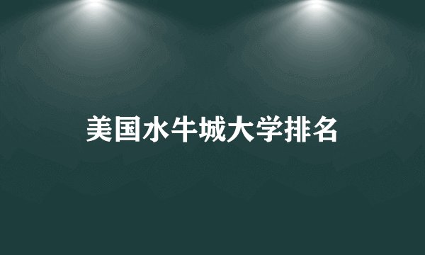 美国水牛城大学排名