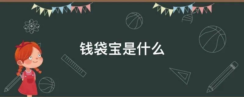 钱袋宝是什么
