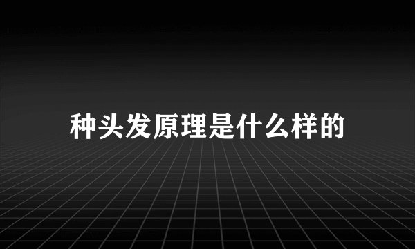 种头发原理是什么样的