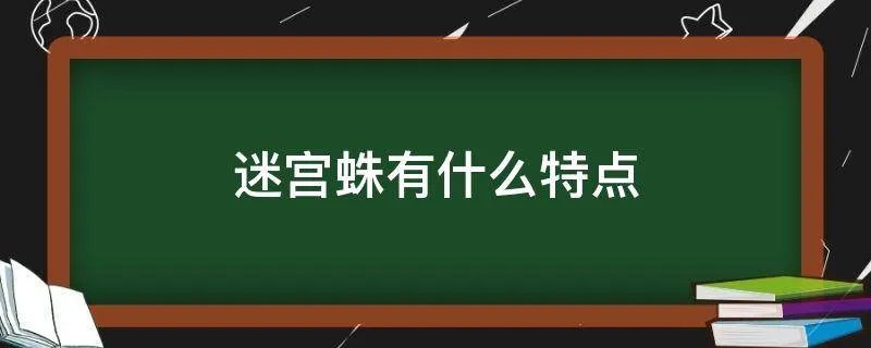 迷宫蛛有什么特点