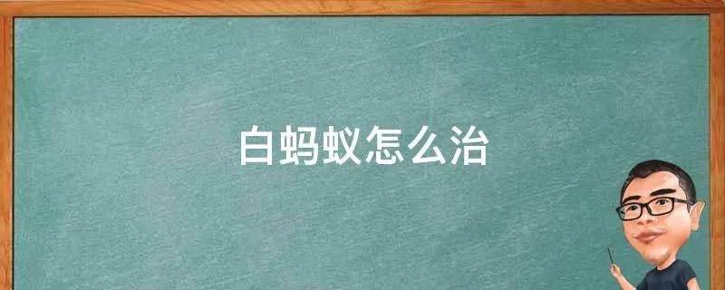 白蚂蚁怎么治
