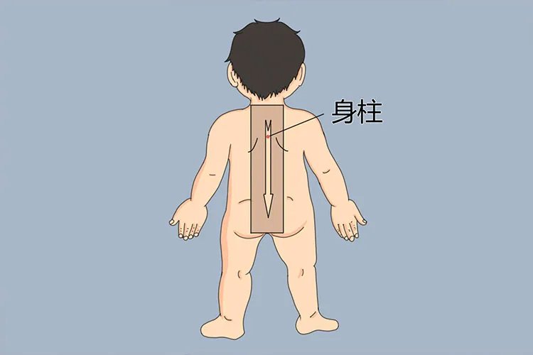 小儿艾灸的常用部位图