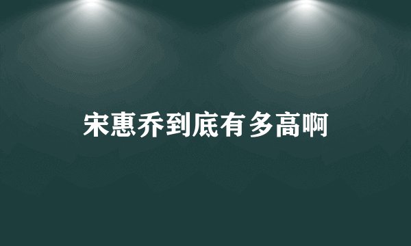 宋惠乔到底有多高啊