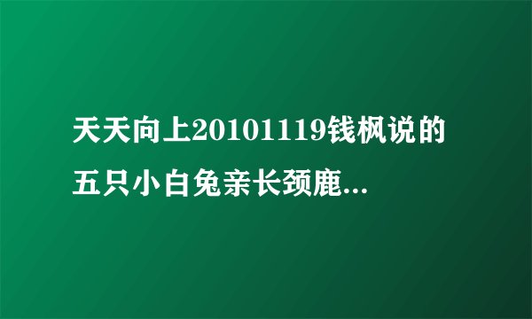 天天向上20101119钱枫说的五只小白兔亲长颈鹿的冷笑话，笑点在哪里?什么意思？