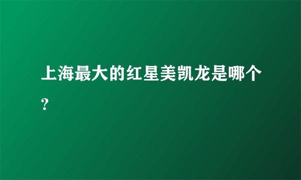 上海最大的红星美凯龙是哪个？