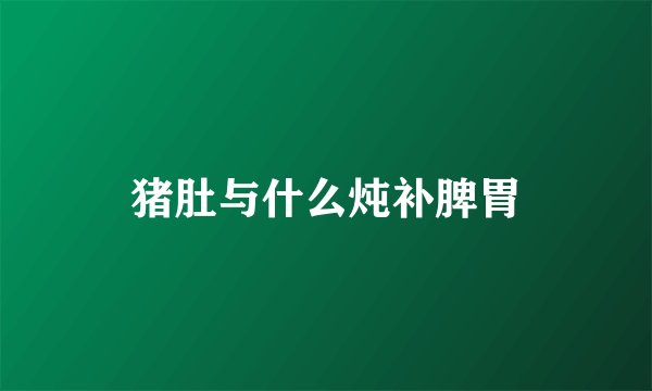 猪肚与什么炖补脾胃