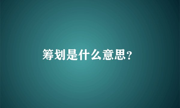 筹划是什么意思？