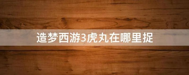 造梦西游3虎丸在哪里捉