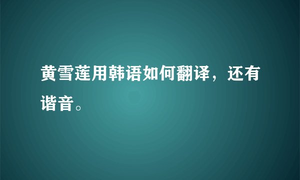 黄雪莲用韩语如何翻译，还有谐音。