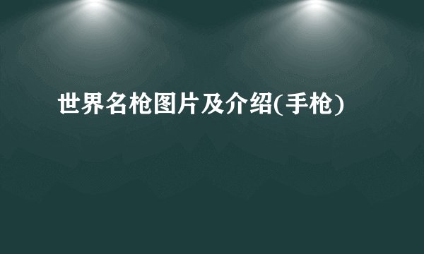 世界名枪图片及介绍(手枪)