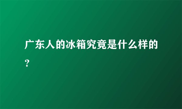 广东人的冰箱究竟是什么样的？