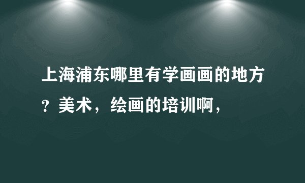 上海浦东哪里有学画画的地方？美术，绘画的培训啊，
