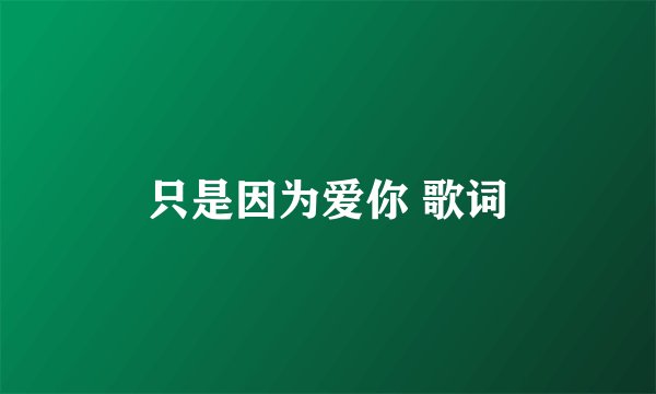 只是因为爱你 歌词
