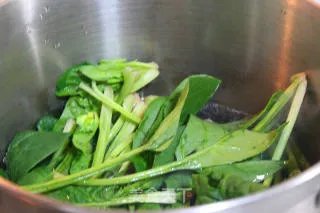 果仁菠菜