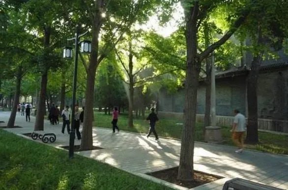 北京气温下半年来首次破零,接下来的几天还会持续下降吗?
