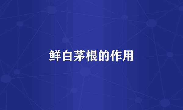 鲜白茅根的作用