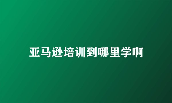 亚马逊培训到哪里学啊