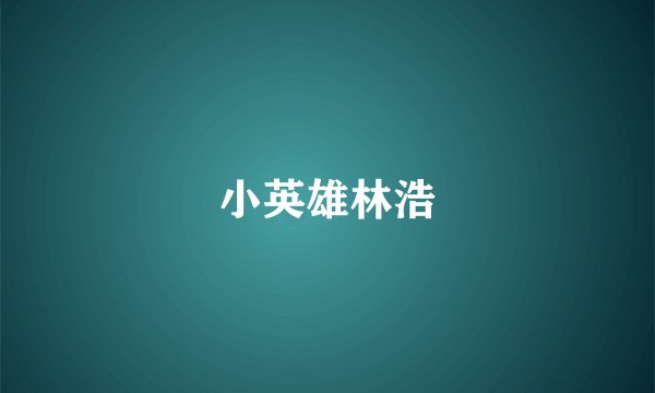 小英雄林浩